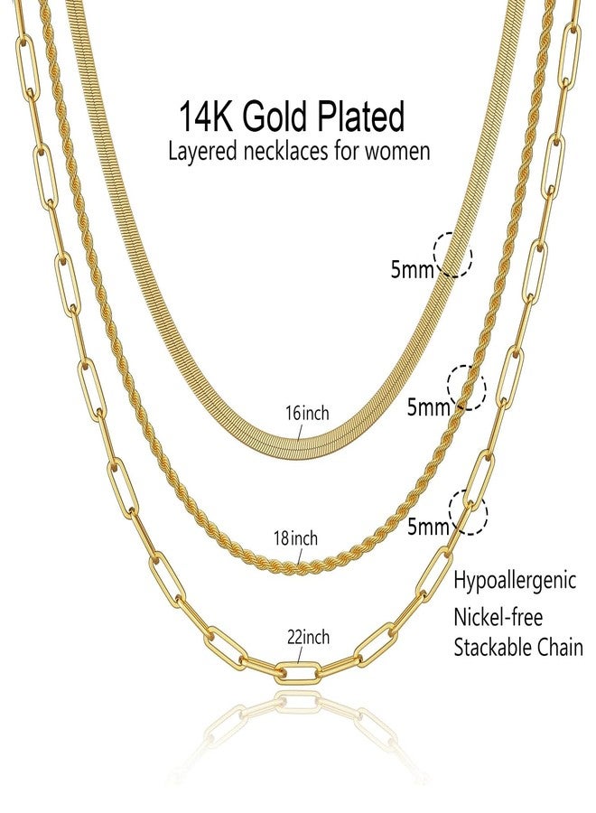 VAMA FASHIONS Premium Stainless Steel Herringbone, Rope & Paperclip Neck Chain Trendy & Western Necklace Chains for Women (14k Gold) - Image 3