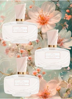 3 Pieces Miss Cassandra Perfume 100ML - pzsku/ZC5BB955FA17DE78DD879Z/45/_/1721492778/080db135-e610-4d1a-8f98-311086269049