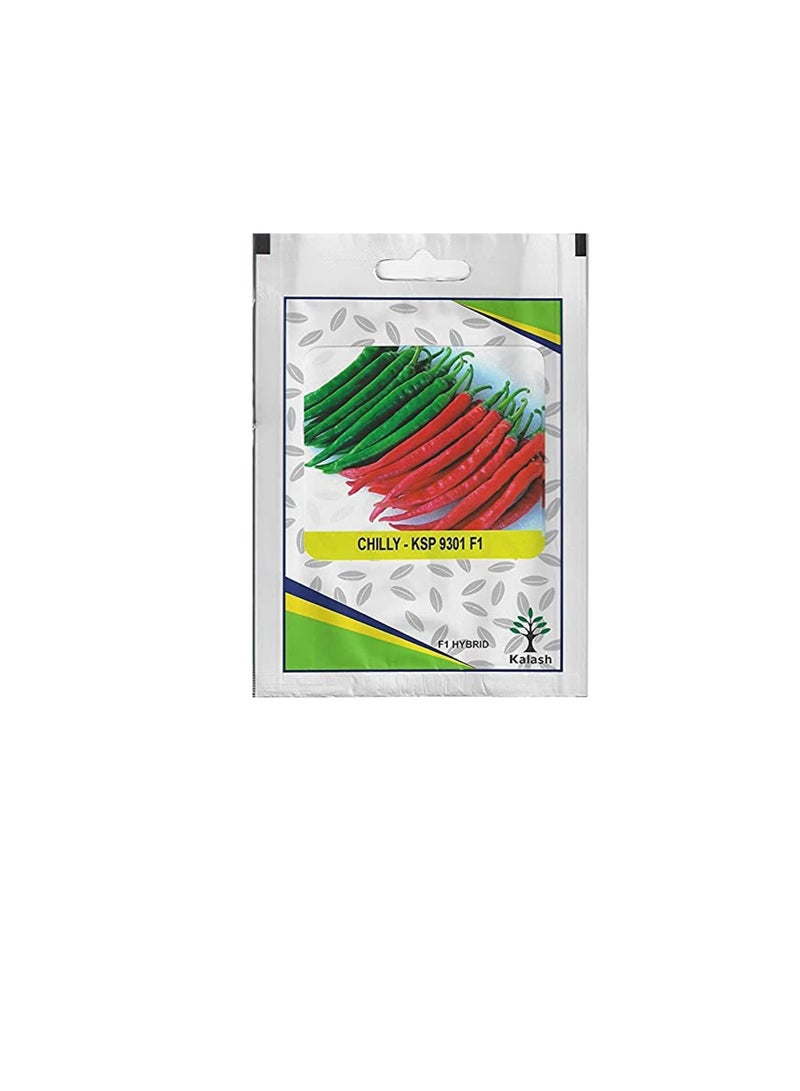 Kalash Chilly KSP 9301 F1 Hybrid Premium Quality Seeds (Made in India) by Kalash Seeds Pvt. Ltd. - Image 2