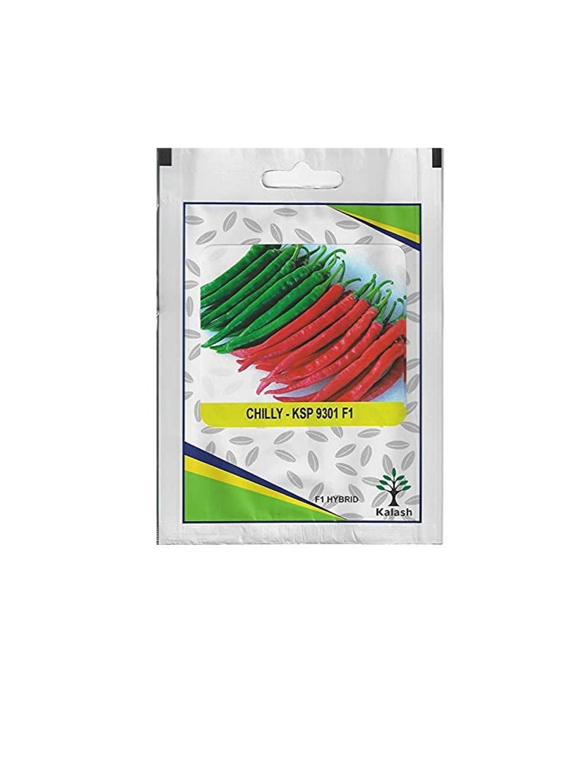 Kalash Chilly KSP 9301 F1 Hybrid Premium Quality Seeds (Made in India) by Kalash Seeds Pvt. Ltd. - Image 3