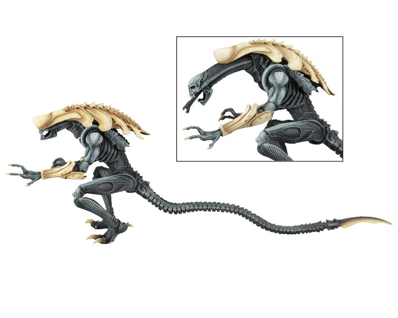 NECA - Aliens vs Predator (Arcade Appearance) - 7" Scale Action Figures - Chrysalis - Image 2