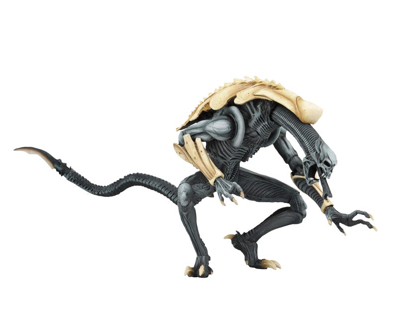 NECA - Aliens vs Predator (Arcade Appearance) - 7" Scale Action Figures - Chrysalis - Image 3