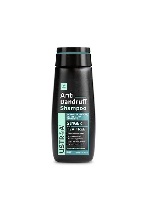 Anti-Dandruff Shampoo 250Ml - With Climbazole, Ginger & Tea Tree Oil, Controls Dandruff, No Sulphates, No Parabens, No Silicone, No Mineral Oil