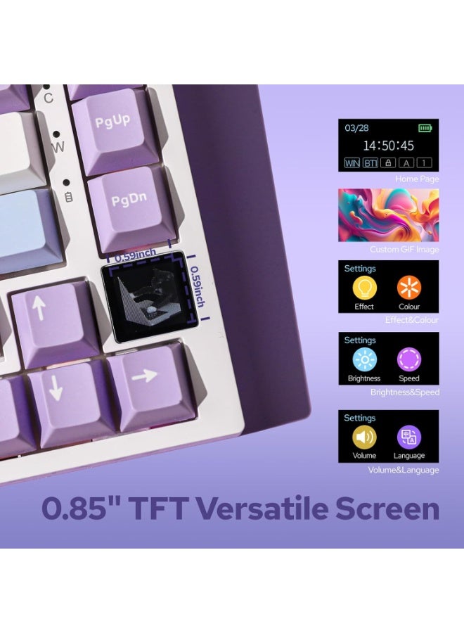 إيه جاز لوحة مفاتيح ميكانيكية Ajazz AK820 Pro 75% مثبتة بحشوة مع شاشة TFT، 3 أوضاع (بلوتوث 5.1/2.4G لاسلكي وسلكي من النوع C)، إسفنج عازل للصوت (أبيض بنفسجي، مفتاح Ajazz Flying Fish) - Image 3