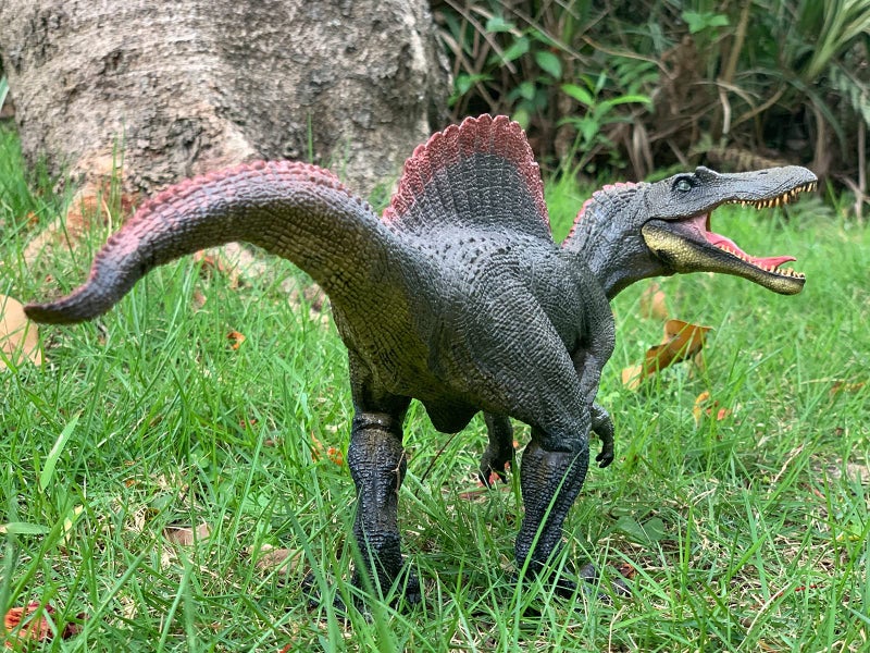 Gemini&Genius Spinosaurus Action Figures Dinosaur Toys for 3 4 5 6 7 Year Old Kids, Early Science Education and Collectible Toys Gift for The Dino Lovers and The Coolest Gift for The Boys - Image 3