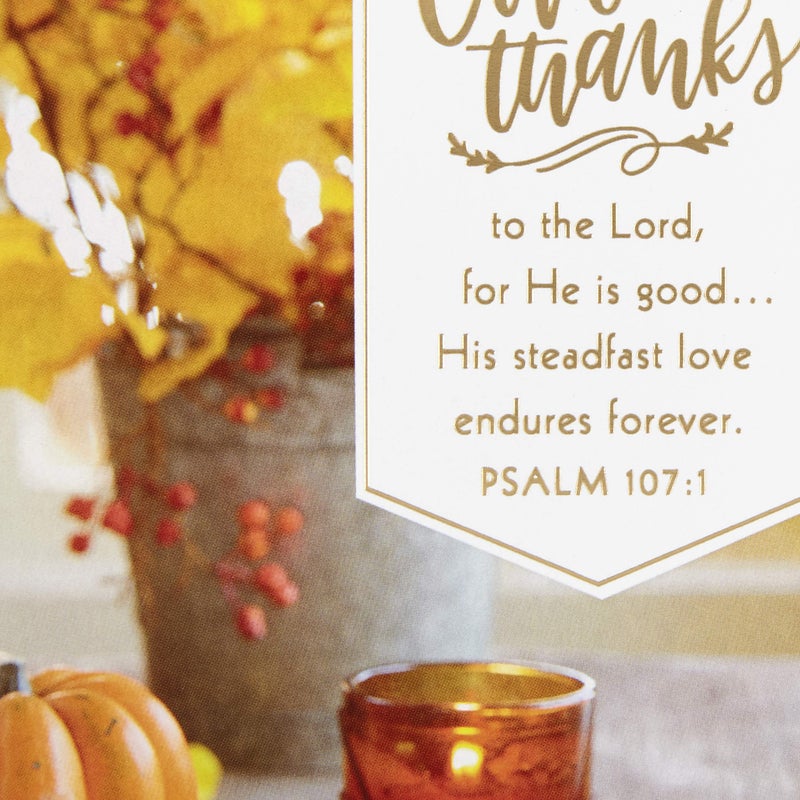 Hallmark Dayspring Pack of Religious Thanksgiving Cards  Give Thanks (10 Cards with Envelopes)  799THJ1069 - Image 4
