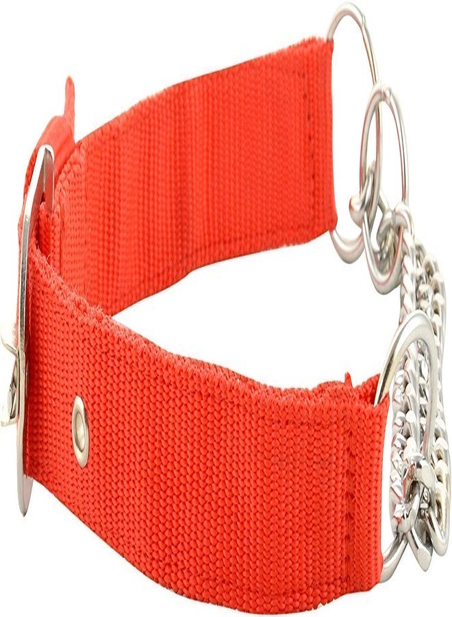 MS Petcare Dog Choke Pet Nylon Half Chain Collar Half Choker Stainless Steel Dogs Collars Width- 1.5" Neck Size 27"-32" - Suitable for X-Large (Giant Size) Breeds (RED Color) - Image 4