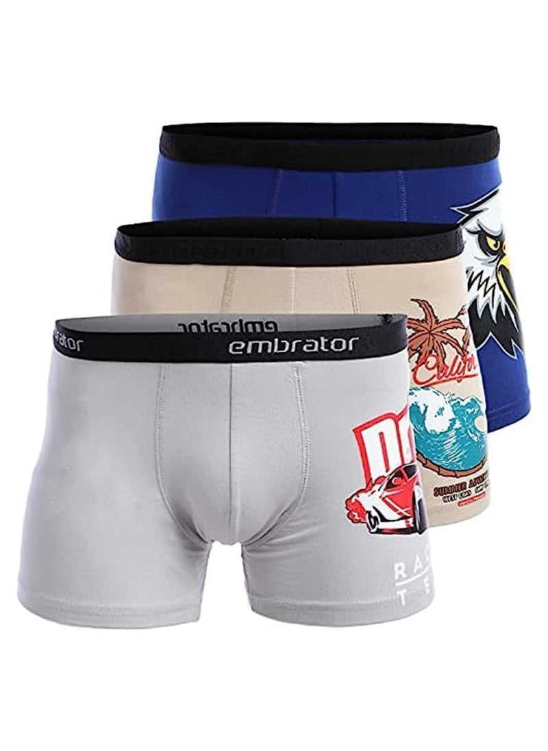 embrator Pack of 3 Printed Cotton Lycra Boxer for Men  - Image 1