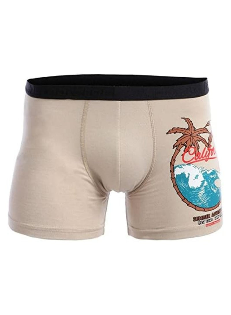 Embrator Pack of 3 Printed Cotton Lycra Boxer for Men - Image 5
