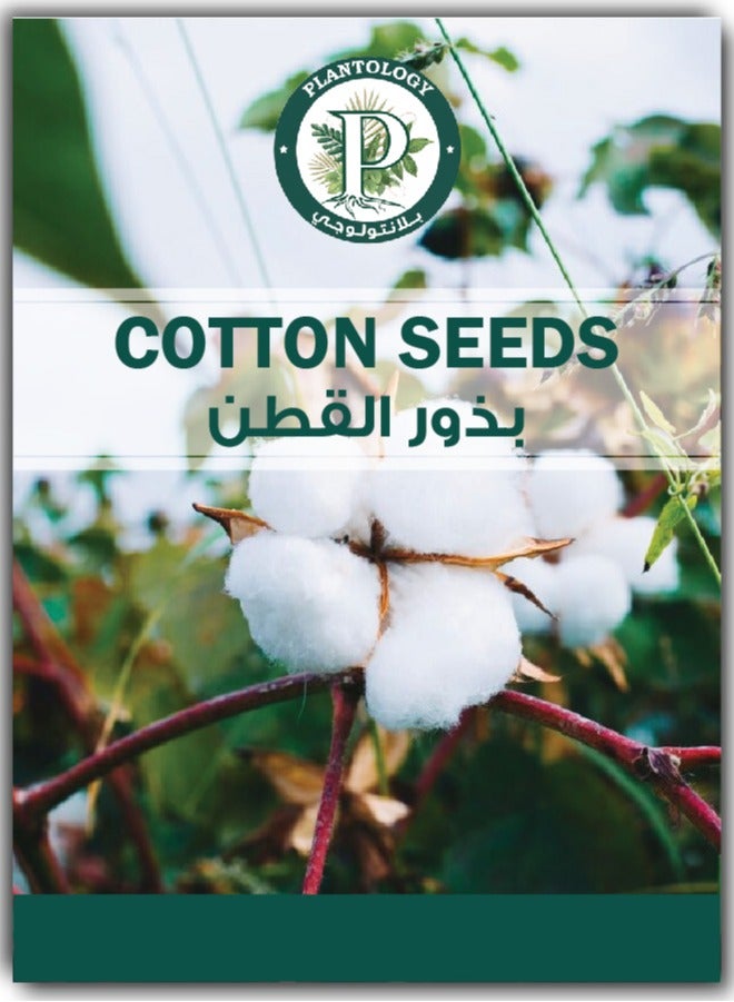 Generic Cotton Seeds for Planting - 10+ Natural Seeds - Premium Quality Cotton Seeds for Planting - White cotton Plant Seeds - Cotton for Planting in Garden Lawn  - Image 1