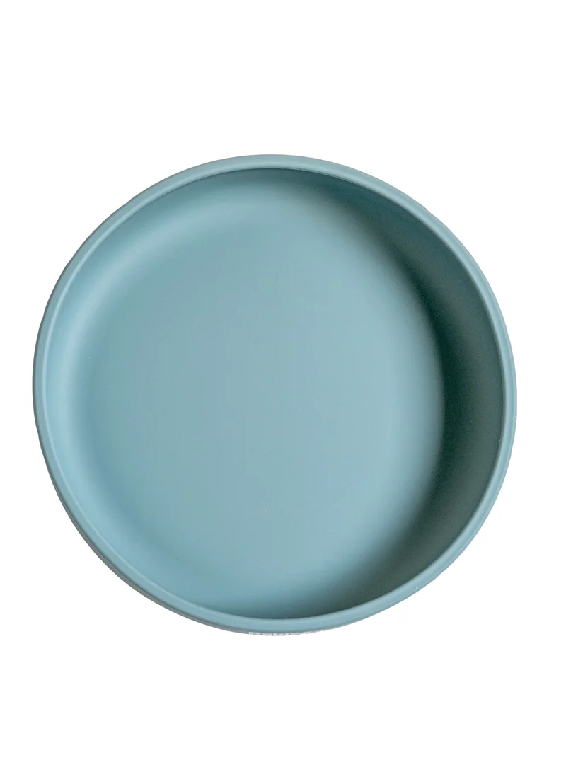 Babies Basic BabiesBasic Silicone Feeding Plate with Suction -  Blue
