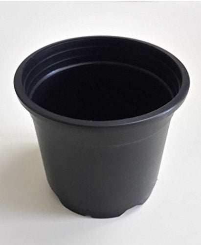 CAPPL Sunrise 14.5 Cm Gardening Plant Container (Black Nursery Plastic Pot 6") (Pack of 25) - Image 3