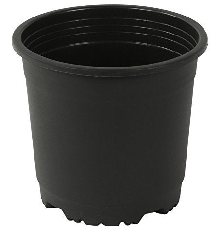 CAPPL Sunrise 14.5 Cm Gardening Plant Container (Black Nursery Plastic Pot 6") (Pack of 25) - Image 2