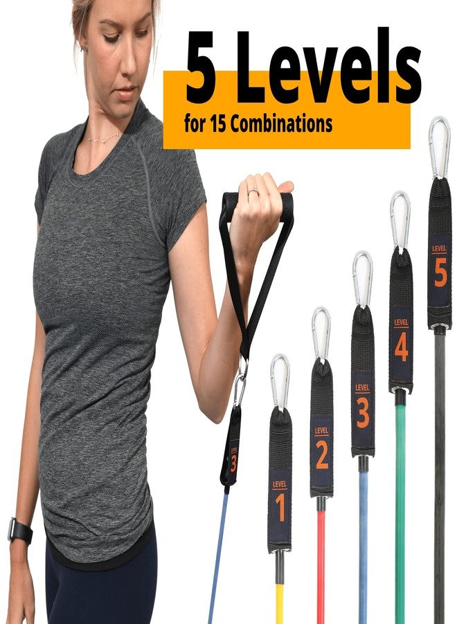 Brazyn Resistance Bands Kit with Handles 12-Piece Band Set with Travel Pouch, Guide, Ankle Straps & Door Anchor - for Workouts Gym Strength Training Bungee Yoga Pilates Physical Therapy - 150lbs - Image 2