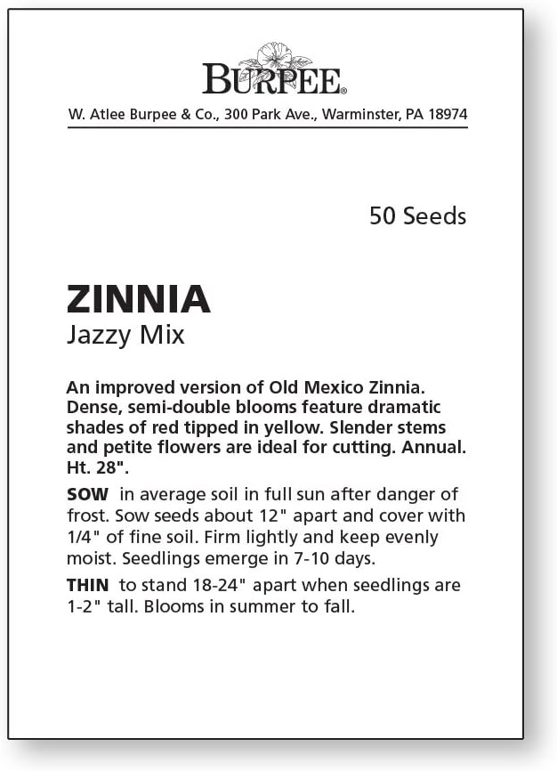Burpee Jazzy Mix Zinnia Seeds 50 seeds - Image 4