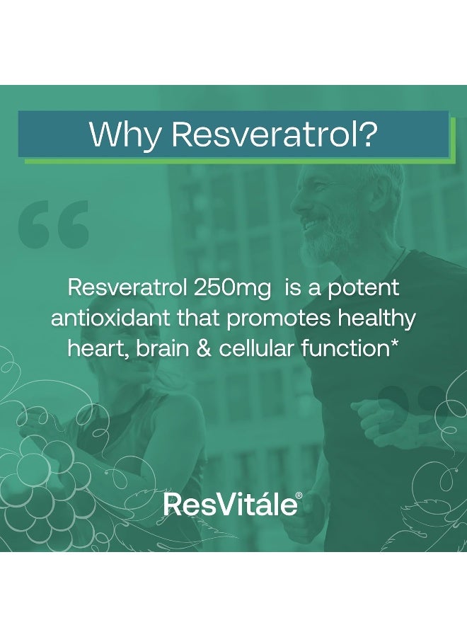 ResVitale Resveratrol 250 mg - Resveratrol Supplement for Men and Women - 120 Veggie Capsules - Image 4