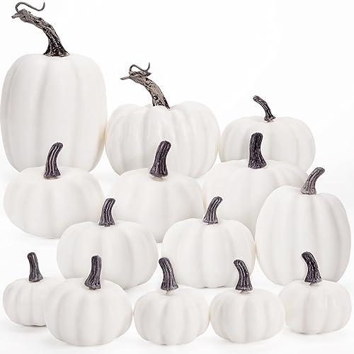 DomeStar 14PCS White Artificial Pumpkins Assorted Sizes White Foam Pumpkins Large Faux White Pumpkins Bulk for DIY Decorating Fall Halloween Thanksgiving