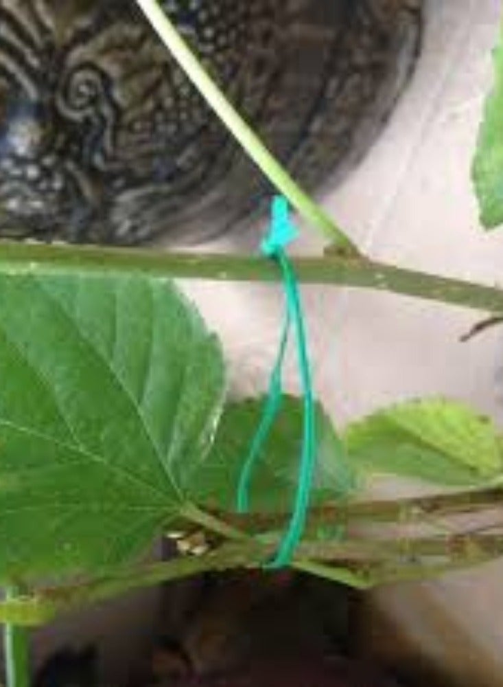 KNP Twist Tie Roll Pack of 100 provides a convenient and versatile solution for bundling, organizing, and securing various items. - Image 4