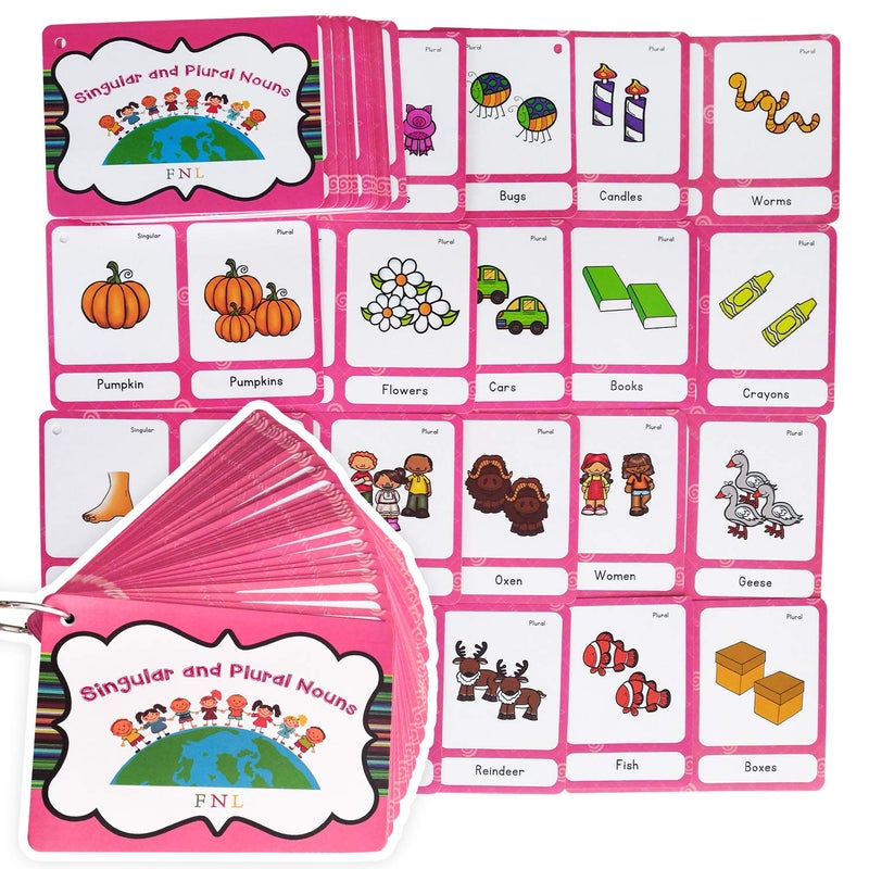Richardy 70 Groups Singular and Plural Nouns Flashcards Pocket Card Building Vocabulary Homeschool Kindergarten Supplies - Image 2