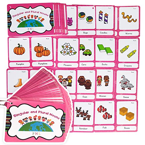 Richardy 70 Groups Singular and Plural Nouns Flashcards Pocket Card Building Vocabulary Homeschool Kindergarten Supplies - Image 1