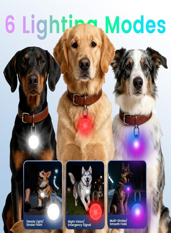 Vebiso 2-in-1 GPS Tracker & Dog Light - Smart Tracking Pet LED Light for iOS Only - Rechargeable IP68 Waterproof Dog Collar Light with 6 Modes for Night Walking - Works with Apple Find My, No Subscription - Image 3