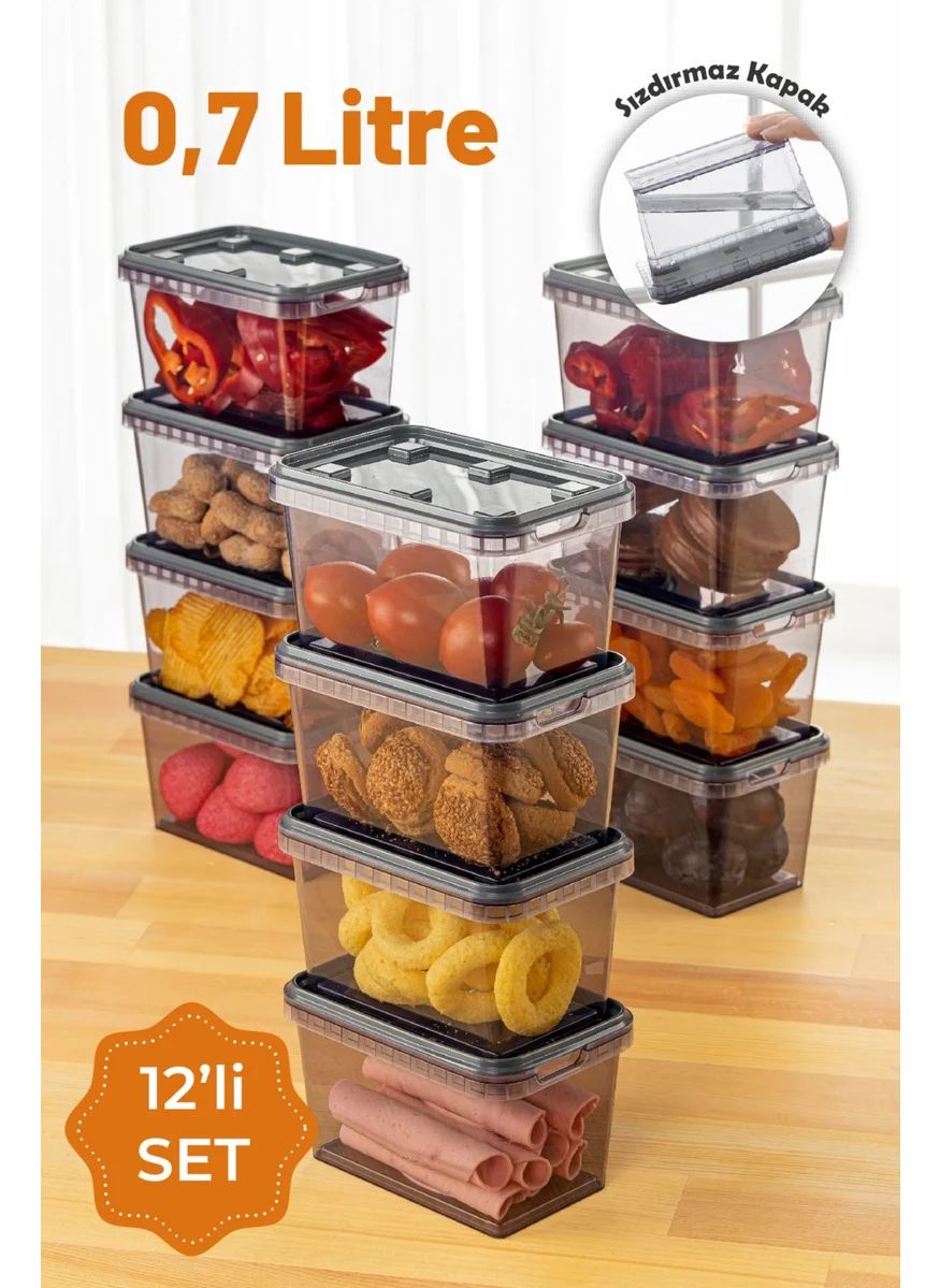 فينيف 12LI 0.7 Liter Block Leakproof Storage Container Set Anthracite