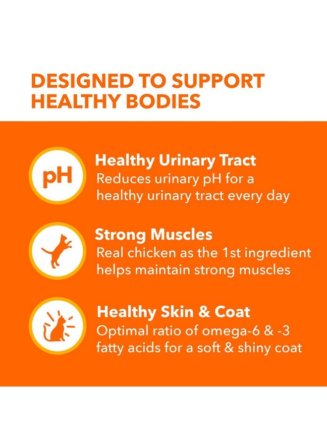 IAMS PROACTIVE HEALTH Adult Urinary Tract Health Dry Cat Food with Chicken, 7 lb. Bag - Image 3