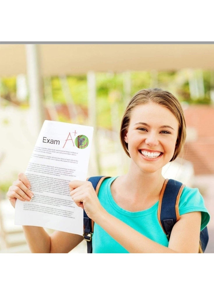 2000 Pieces Reward Motivational Stickers for Kids - Image 5