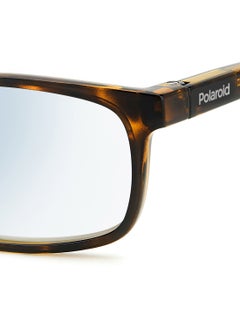 Polaroid نظارات القراءة للرجال - Pld 0035/R/Bb Havana 54 - مقاس العدسة: 54 مم  - Image 5