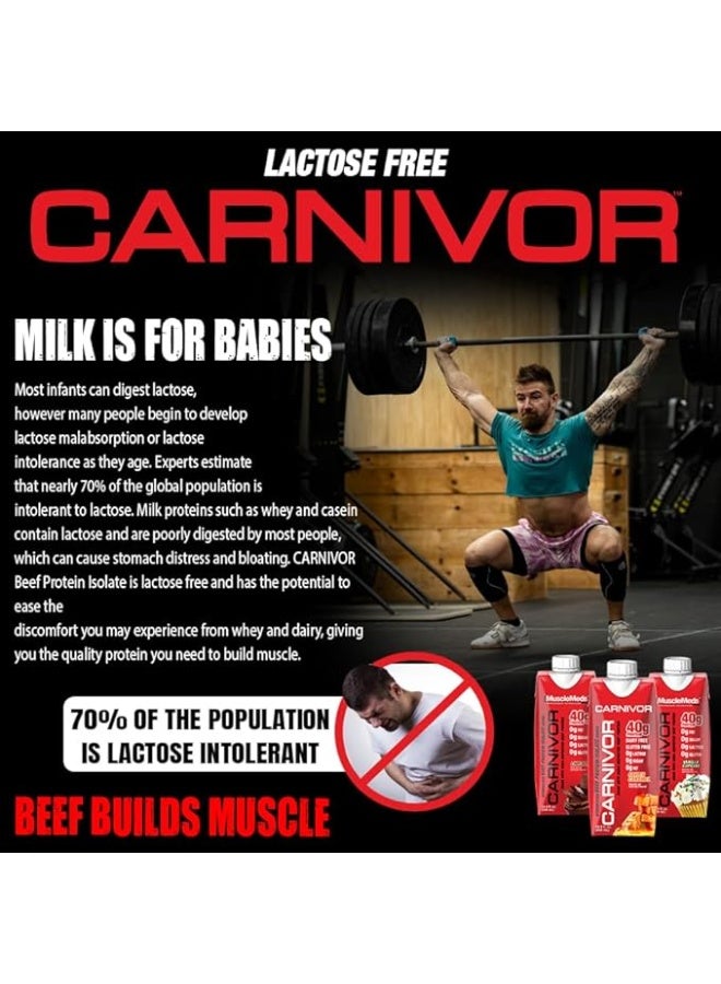MuscleMeds Carnivor RTD, Ready to Drink Protein, Lactose Free, Sugar Free, 40g Isolate Protein, Muscle Building, Recovery, Halal Certified, Fruity Cereal, 500 ML (Pack of 12) - Image 2