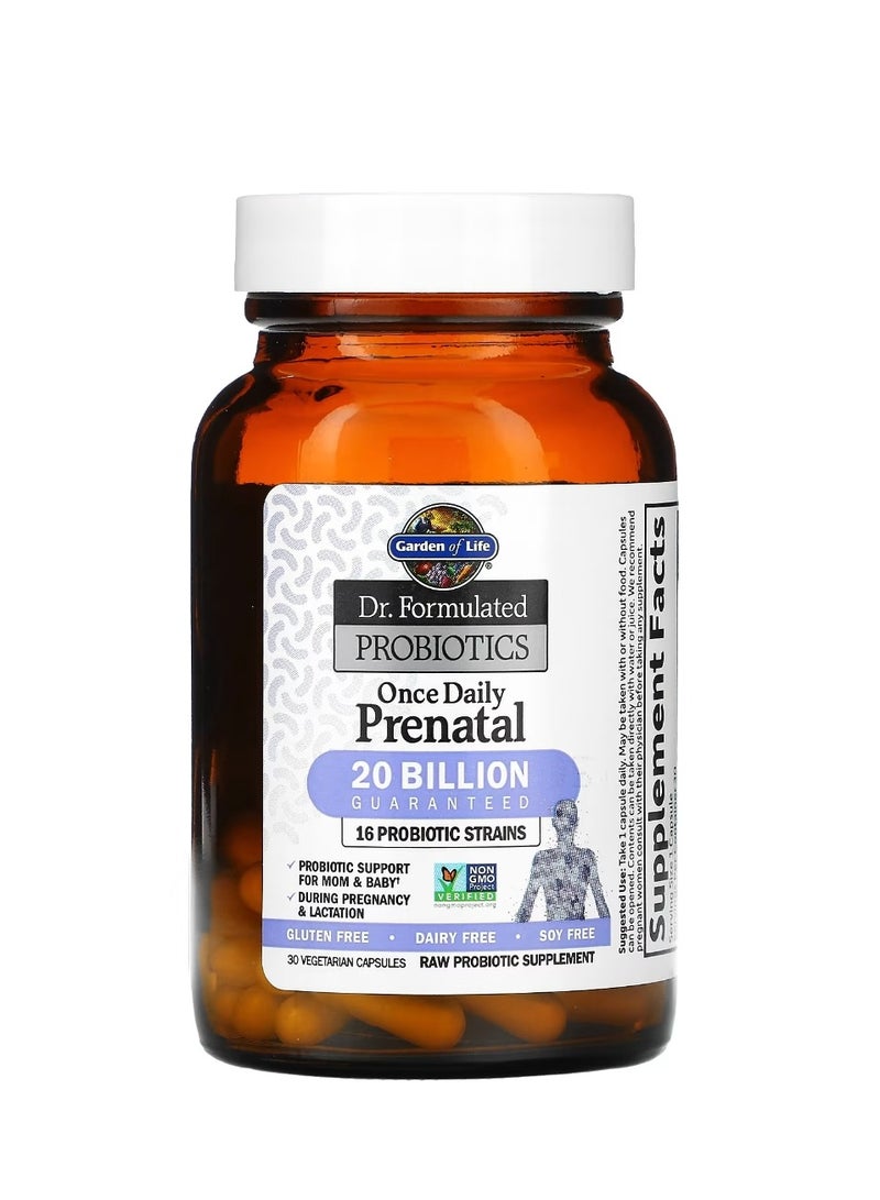 Garden of Life Dr. Formulated Probiotics Once Daily Prenatal 30 Vegetarian Capsules  - Image 2