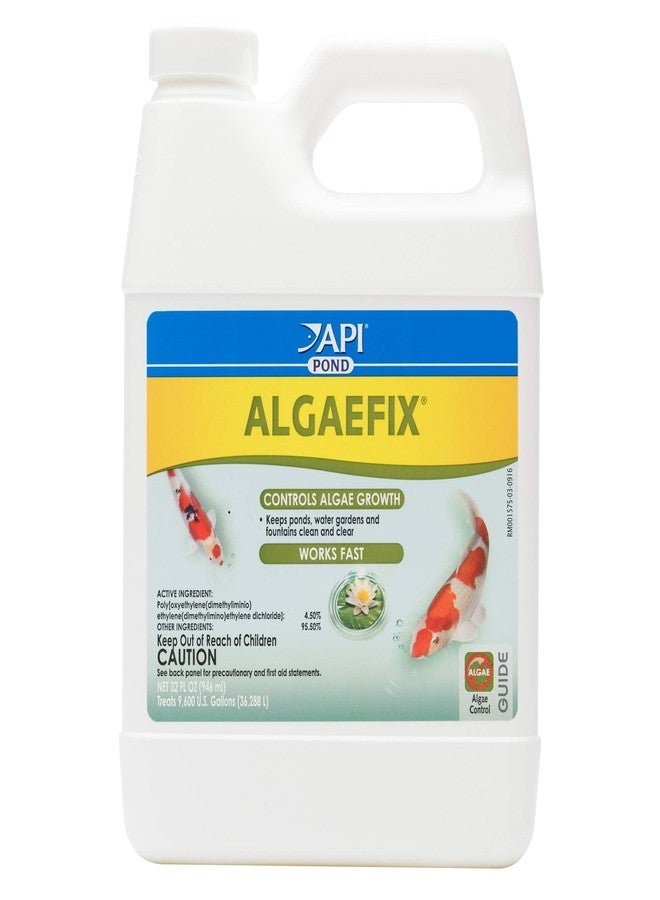 API POND ALGAEFIX Algae Control 32-Ounce Bottle, FISHAQUARI (169G) - Image 1