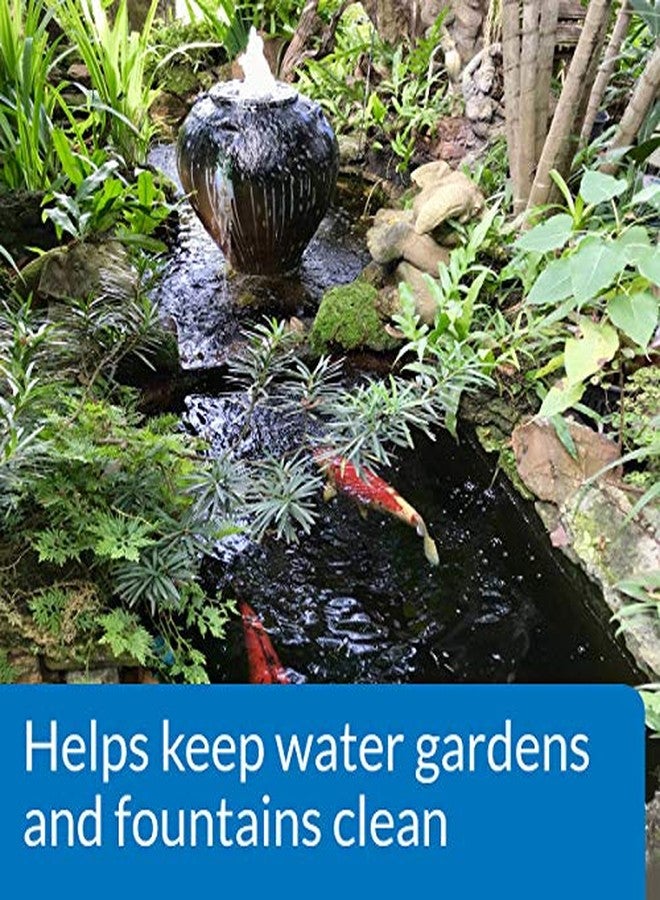 API POND ALGAEFIX Algae Control 32-Ounce Bottle, FISHAQUARI (169G) - Image 3