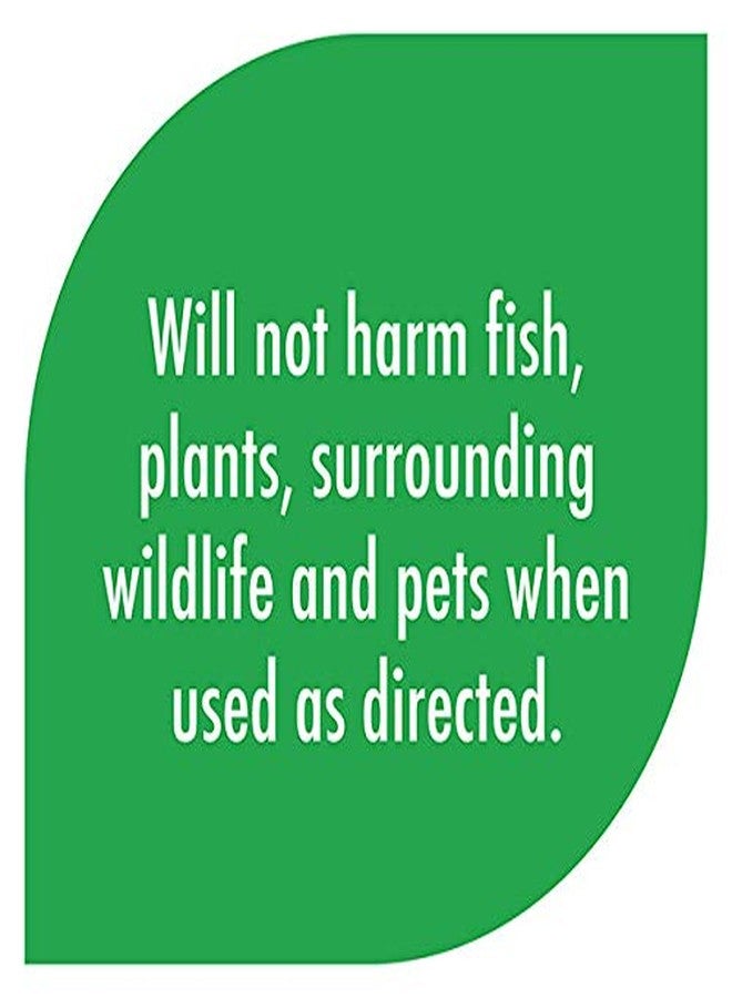 API POND ALGAEFIX Algae Control 32-Ounce Bottle, FISHAQUARI (169G) - Image 4