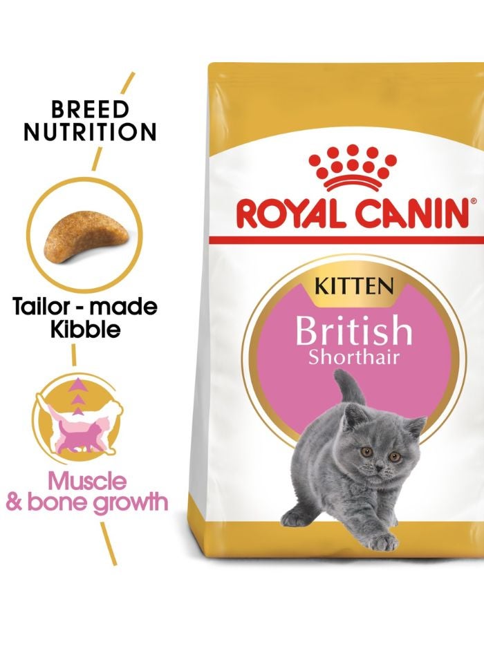 ROYAL CANIN Feline Breed Nutrition British Shorthair Kitten 2 KG - Image 1
