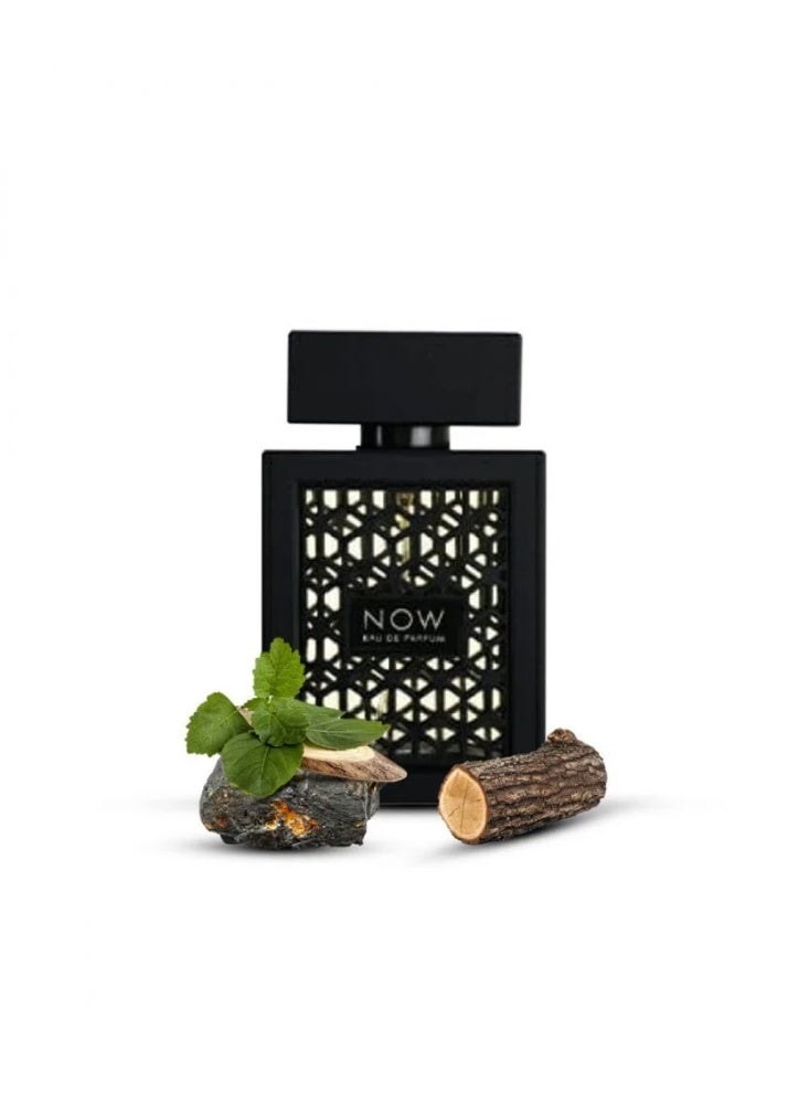 رايف عطر ناو او دي بارفان رجالي 100مل - Image 2