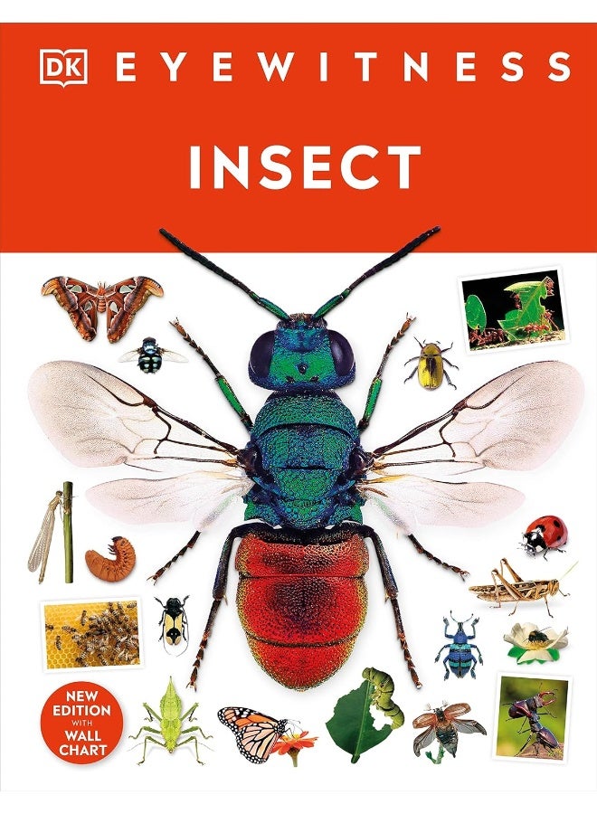 Insect - Image 1