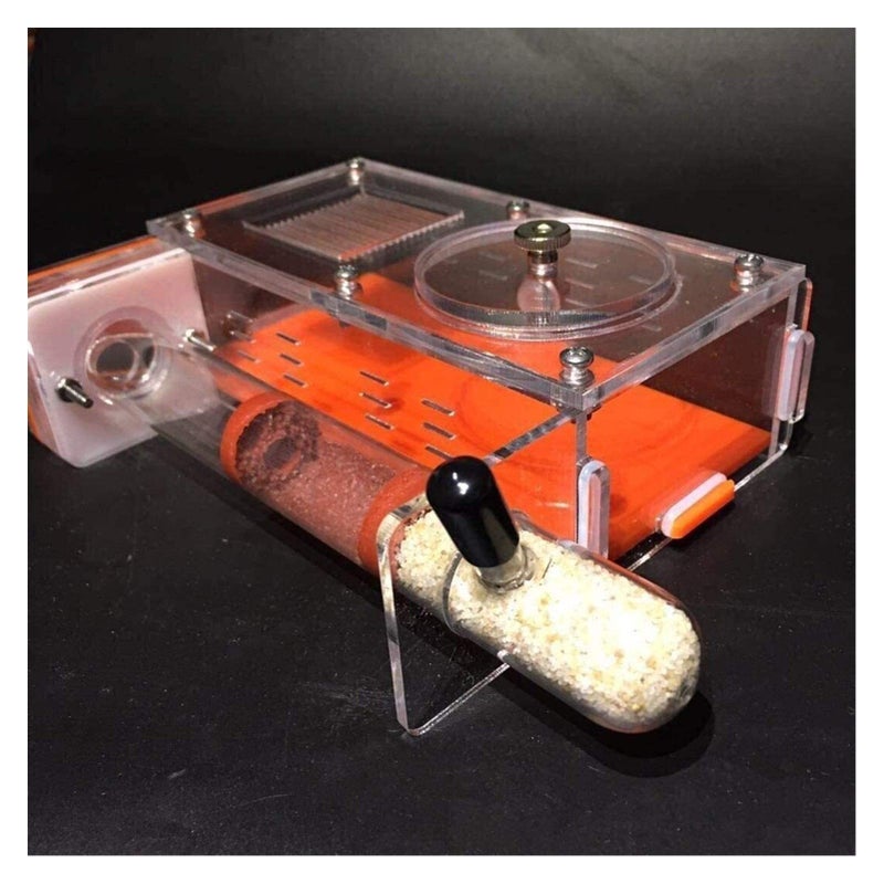 Ant Farm Habitat With 20mm Bamboo Tubes Ant Nest Castle Insect Villa Glass Tunnels - Image 2