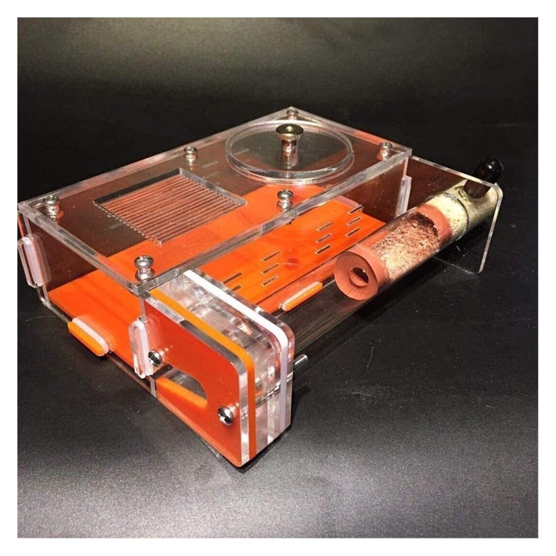 Ant Farm Habitat With 20mm Bamboo Tubes Ant Nest Castle Insect Villa Glass Tunnels - Image 3