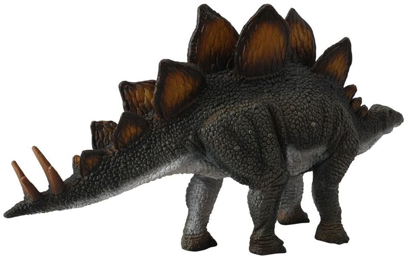 CollectA Stegosaurus Toy Dinosaur Figure - Authentic Hand Painted & Paleontologist Approved Model - Image 2