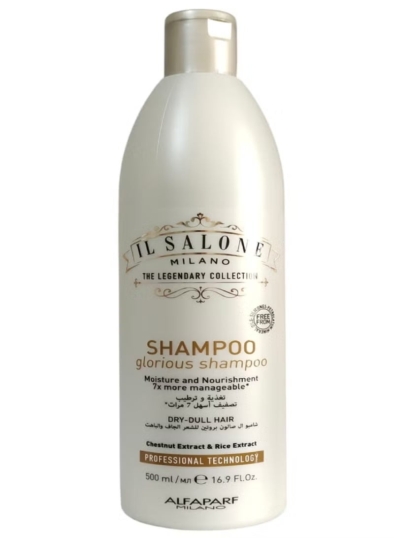 IL SALONE Protein Complete Care Shampoo + Conditioner Set 2X500 ml - Image 4