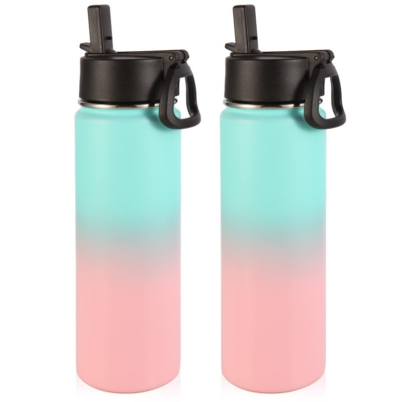 Volhoply Insulated Water Bottles with Straw Bulk 2 Pack 22 oz Stainless Steel Sport Bottle with Handle LidMetal Travel Water Cups with Wide MouthReusable Water Flask for SchoolGreen Pink2 Set
