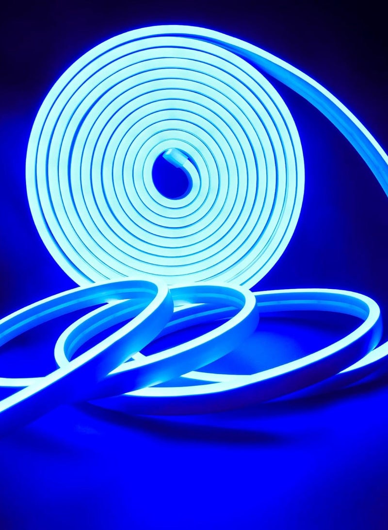 Festive Gallery 12V LED Neon Rope Strip light, 16.4ft / 5MLED Strip Lights, 12V Flexible Neon Flex for Kitchen Bedroom Indoor Outdoor Home Decor DIY Included Adaptor Color Blue - Image 1