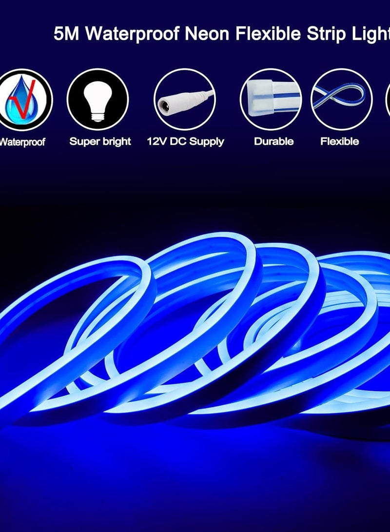 Festive Gallery 12V LED Neon Rope Strip light, 16.4ft / 5MLED Strip Lights, 12V Flexible Neon Flex for Kitchen Bedroom Indoor Outdoor Home Decor DIY Included Adaptor Color Blue - Image 2