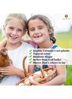 SunGrow Fake Wooden Eggs To Train Chicken & Duck From Laying In The Nesting Boxes & To Stop From Eating Own Eggs, 2 Pcs Per Pack  - Image 4