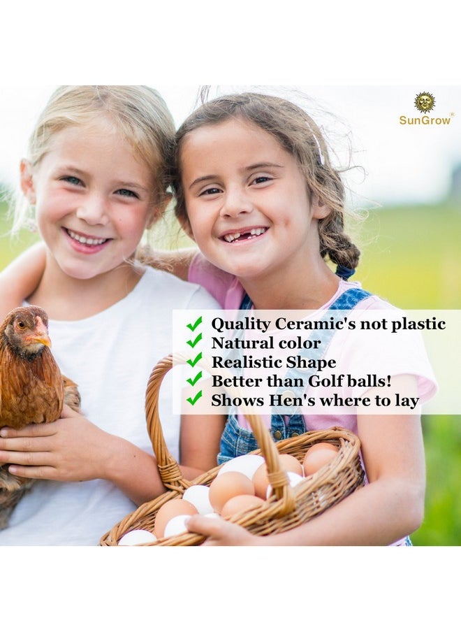 SunGrow - Fake Wooden Eggs To Train Chicken & Duck From Laying In The Nesting Boxes & To Stop From Eating Own Eggs, 2 Pcs Per Pack - Image 1