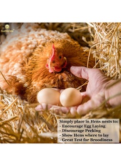 SunGrow Fake Wooden Eggs To Train Chicken & Duck From Laying In The Nesting Boxes & To Stop From Eating Own Eggs, 2 Pcs Per Pack  - Image 5