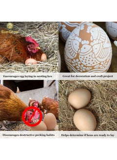 SunGrow Fake Wooden Eggs To Train Chicken & Duck From Laying In The Nesting Boxes & To Stop From Eating Own Eggs, 2 Pcs Per Pack  - Image 3