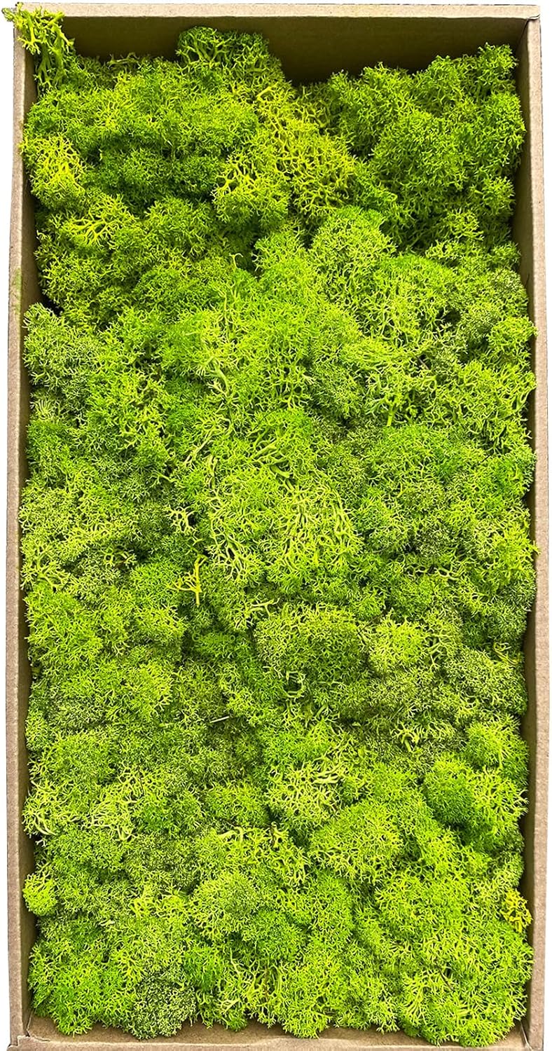 Gusaloo Preserved 1.1lb Moss Artificial Moss Natural Fresh Green Moss for Craft Handicraft Arts Floral Project Wall Decor Table Decor Wedding Centerpieces Garden Terrariums Decoration - Image 1