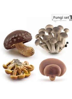 Simulation Fungus Mushroom Model Lentinus Edodes Long Skirt Bamboo Mushroom Poisonous Rope Umbrella Real Agaricus Mushroom Matsutake Amanita Mushroom Ornaments-Color:Fungi Set 1 116g